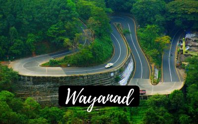 Places-to-visit-in-Wayanad